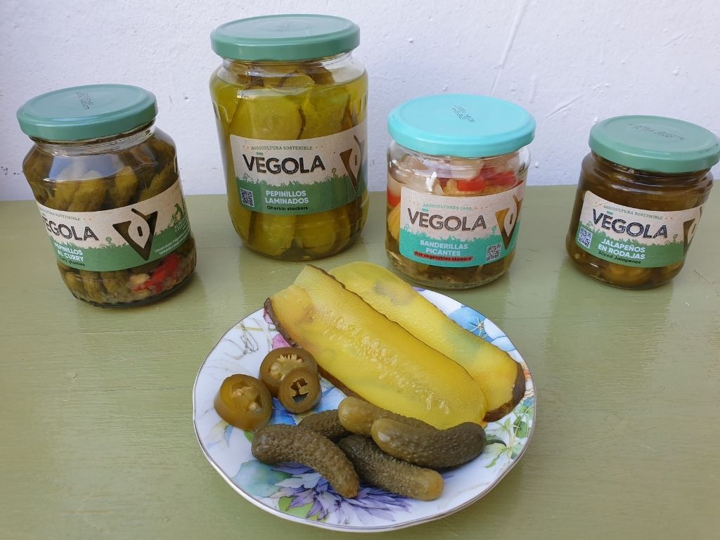 conservas vegetales vegola