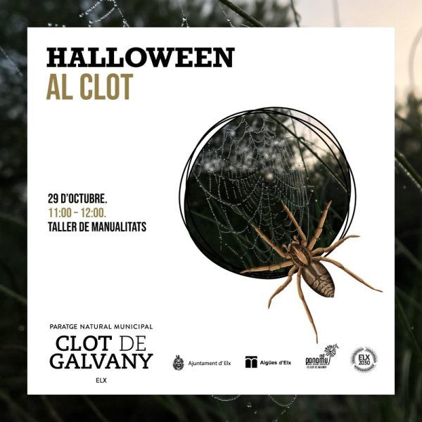taller de manualidades clit de galvany elche 