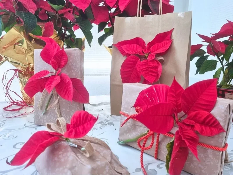 Decorar paquetes con flores de pascua cortadas
