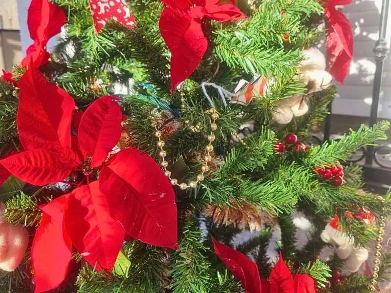 Arbol de navidad con flores de pascua cortadas